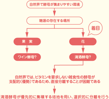 花酵母とは